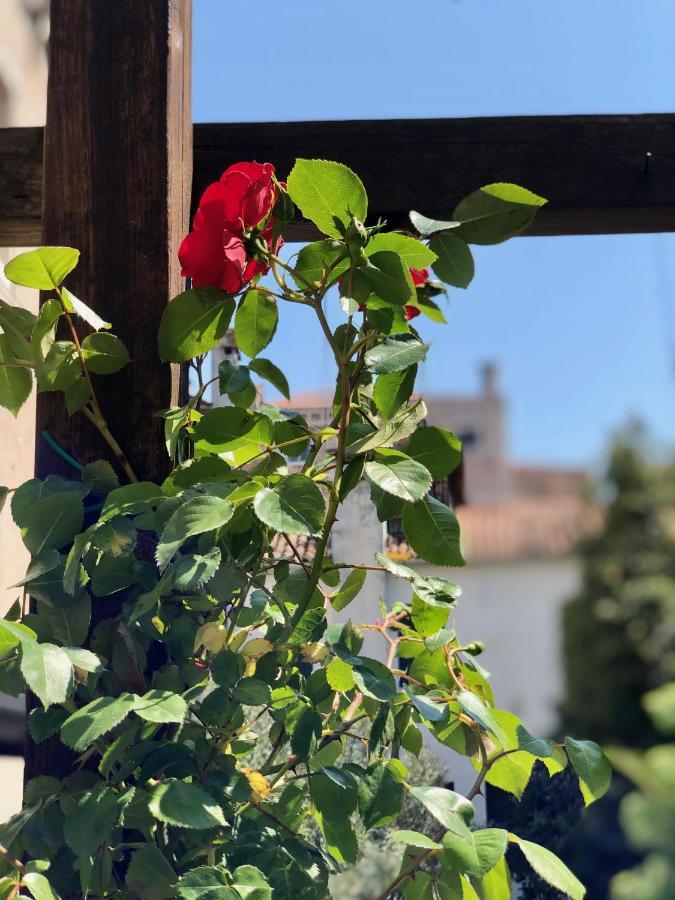 B&B Patatina Venice Luaran gambar